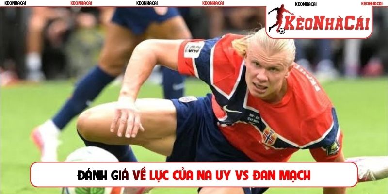 Đánh giá về lực của Na Uy vs Đan Mạch