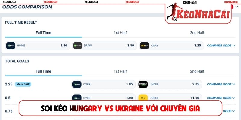 Soi kèo Hungary vs Ukraine với chuyên gia